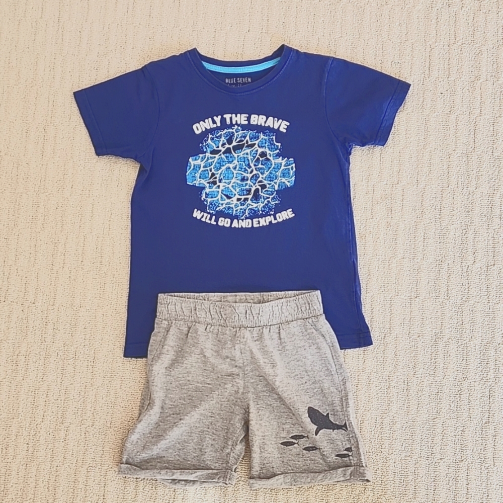 Boys Shorts and Tshirt Set